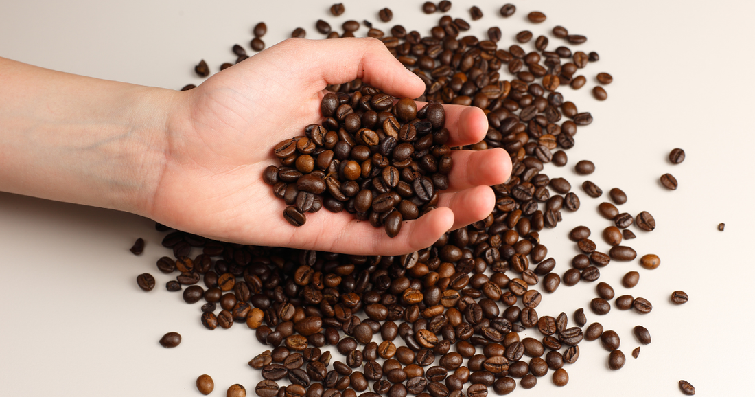How to Choose Coffee Beans: A Beginner's Guide